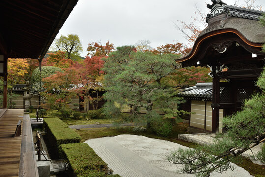 秋の永観堂禅林寺　唐門と釈迦堂と盛砂(京都市左京区)