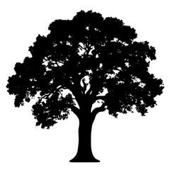 Fototapeta premium Elegant solid black old oak tree silhouette, dramatic vector illustration for nature icon, white background with detailed texture.
