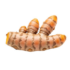 Close-Up PNG of Fresh Turmeric Root (Rhizome) – Detailed Studio Shot of Organic Spice Isolated on Light Grey Background