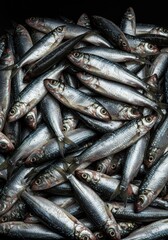 Obraz premium Close-up view of numerous fresh silver fish, stacked tightly together in a generous pile, isolated on a stark background ,studio shot, natural, freshwater fish