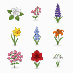 set of flowers