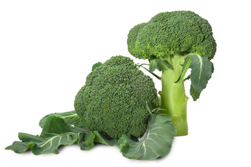 Fresh broccoli with vibrant green leaves on a white background showcasing healthy vegetables for a nutritious meal preparation