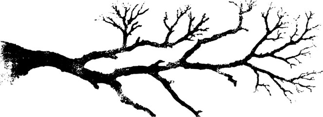 Obraz premium Black and white stencil of organic branching design for art projects