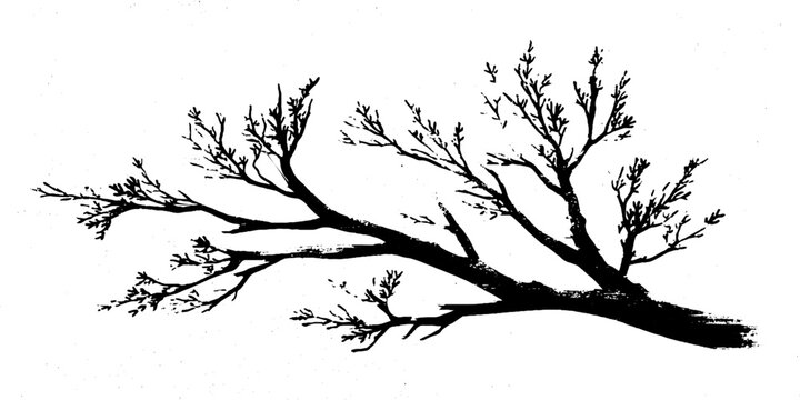 Black and white stencil illustration of a tree branch with leaves in a corner design for decor or print