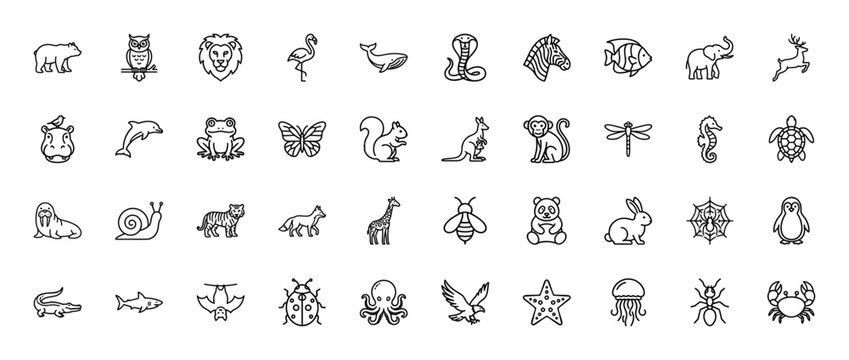 Animal line icon set. Vector pictograms of lion, elephant, bear, tiger, whale, rabbit, owl, monkey, penguin and giraffe, thin outline illustration.