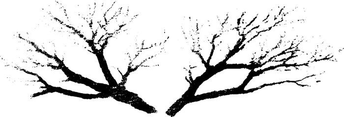 Obraz premium Black and white dual branching twig silhouette for nature-themed designs