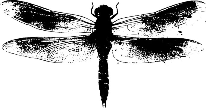 Black and white geometric insect stencil design for artistic projects