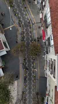 A tree-lined street seen from a top view, offering an aerial perspective of an urban road framed by lush green trees. The symmetrical layout and overhead angle highlight the contrast between natural e