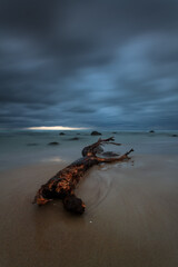 Long Exposure Stormy Baltic Sunset with a piece of driftwood on the beach at the Lithuanian Coast