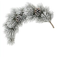 Obraz premium A frosted pine branch with needles and two small snowy pinecones, curved
