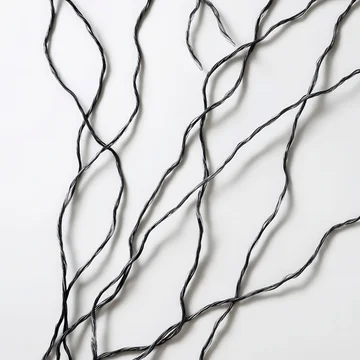 Abstract View of Thin Black Wires or Vines on White Background