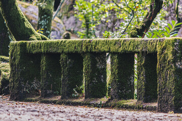 Moss-Covered Stone Railing in Forest of Penha, Guimaraes