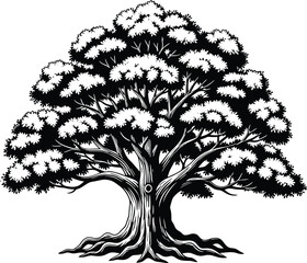 Detailed oak tree illustration with roots vector