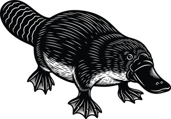 Platypus Engraved Style Vector