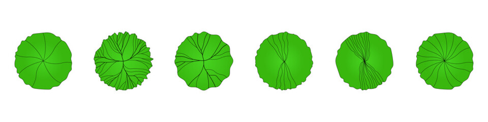 Vector set of deciduous tree top view images for plans, maps, and architectural drawings, isolated on a transparent background.