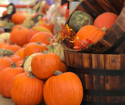 A holiday Autumn display of pumpkins for Halloween with a wooden barrel and decorations.