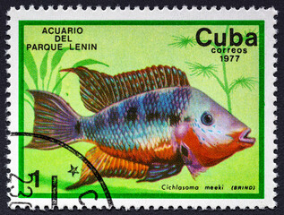 CUBA - CIRCA 1977: A stamp printed by Cuba shows the Cichlasoma meeki fish,stamp is from the series tropical aquarium Fish.Philately.World stamp collection.