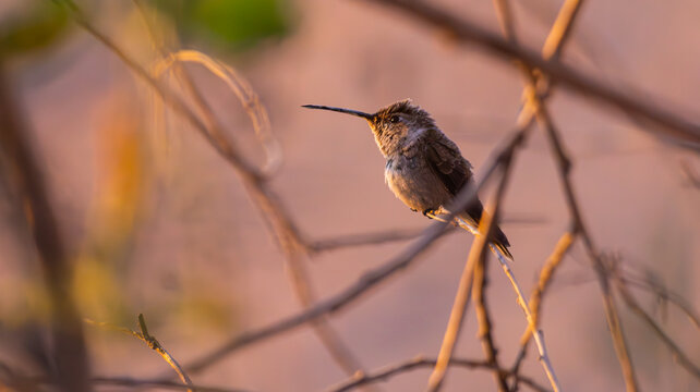 Un instante de calma.