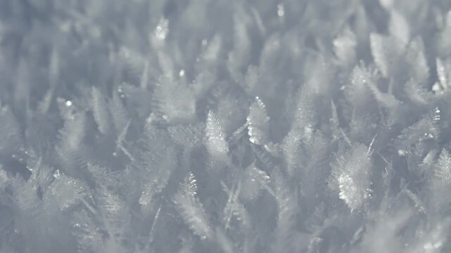 Cristaux de neige froide