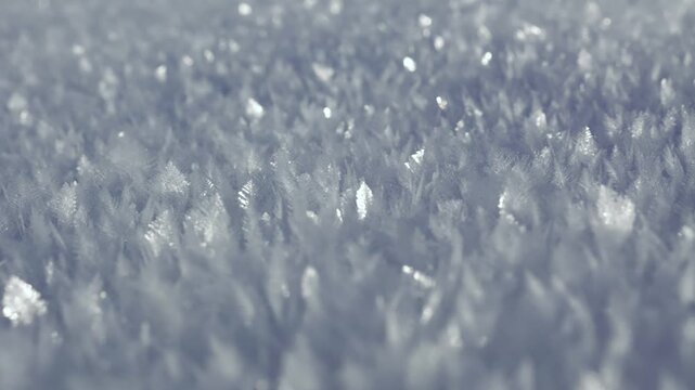 Cristaux de neige froide