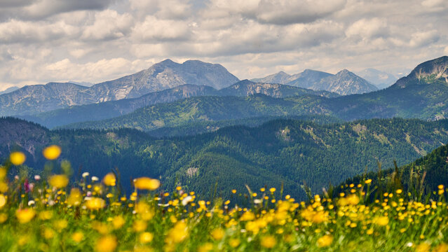 Blick vom Ro&szlig;kopf am Spitzingsee auf die umliegenden Berge, Bayern, Deutschland