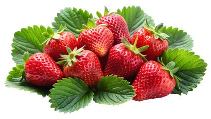 Freshly picked ripe red strawberries with vibrant green leaves for design