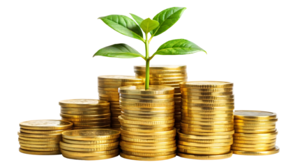 coins and plant