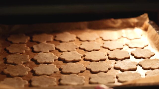 Fresh cookie dough shapes on baking tray inside oven showing authentic Christmas preparation