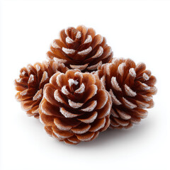 snow dusted pine cones on clean white background
