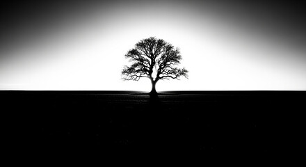 Dramatic Monochrome Silhouette of a Lone Bare Tree Against a Bright Horizon, Minimalist Landscape in Black and White, Stark Winter Scene