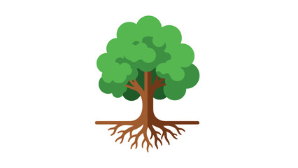 A simple illustration of a tree with green leaves, brown trunk, roots, and horizontal ground line