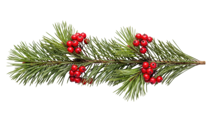 Festive greenery decoration with red berries holiday theme nature setting close-up view seasonal concept. Isolated on transparent background, png.
