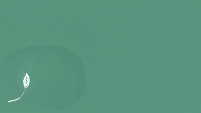 Stylized 2D leaf swoops across the screen, revealing a color transition. Simple nature overlay or graphic element.