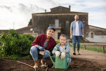 Fototapeta premium Family of farmers plant seeds in the garden. Growing organic vegetables on the farm
