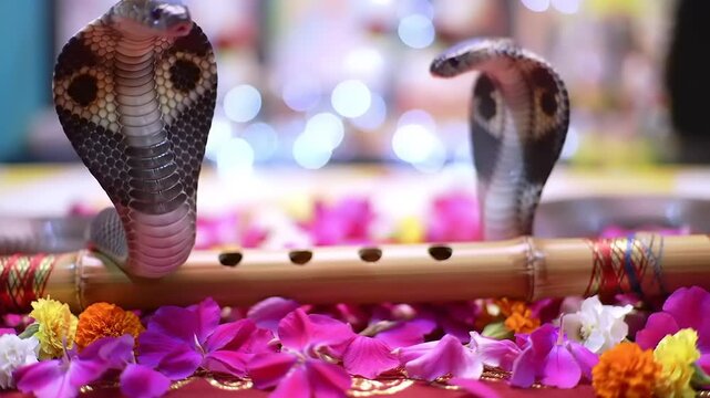 Cobra snakes with flute and flowers.