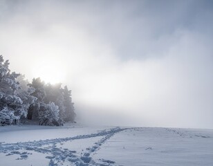 Atmospheric abstract winter background with soft sunlight rays and dense fog