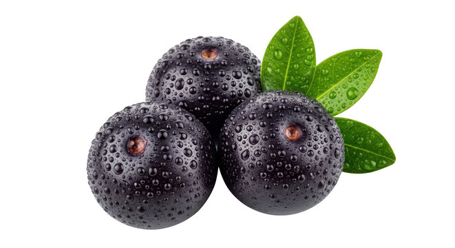 High quality image of fresh acai berries with water drops representing acai, berries, fruit suitable for