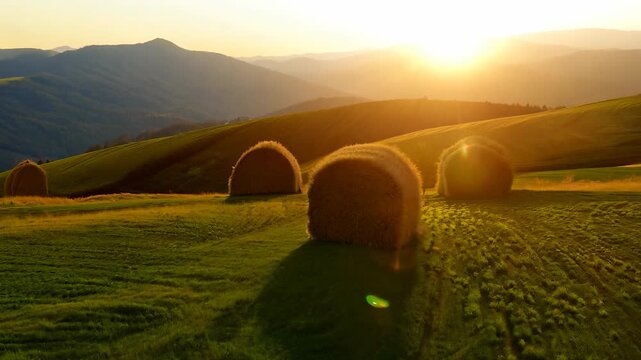 Golden bales of hay rest on lush green fields, basking in the warm glow of the setting sun. Rolling hills create a beautiful backdrop that enhances the rural landscape.