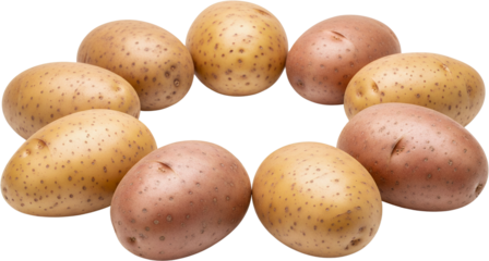 A circular arrangement of raw whole potatoes featuring a mix of yellow and red skinned varieties with visible brown speckles and eyes tubers root vegetable