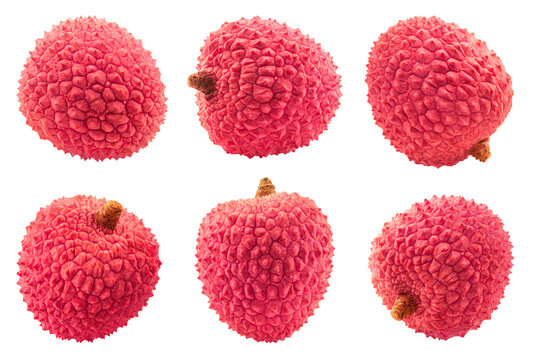 Lychee isolated set. A collection of lychee fruits on a transparent background, from different angles.