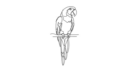Monochrome minimalist contour drawing of a majestic parrot perched on a branch with a © Azrha