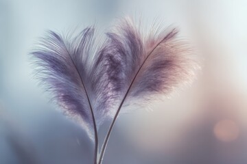 Obraz premium Two feathers touching tip to tip forming a delicate heart shape, symbolizing gentleness, trust, and emotional balance.