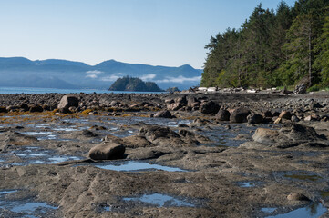 Balancing Rock beach on Graham Island with rugged coastline and coastal forest. Skidegate, BC, Sept 2025.