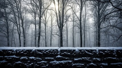 Snow covered stone wall in a foggy forest isolated on transparent background