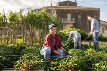 Young female farmer harvesting crops from garden beds in field