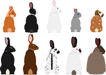 set of rabbits looking back