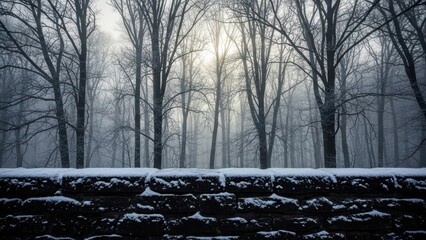 Snow covered wooden steps in a serene forest landscape isolated on transparent background
