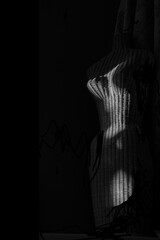 Silhouette of a woman wicker model in black & white minimalist style shows her bodice view.