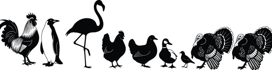 Set of various poultry and other exotic birds silhouettes in a row, including rooster, penguin, flamingo, chicken, duck, and turkey, detailed black vector illustration for farm or wildlife themes.