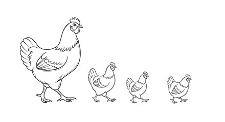 Line art drawing of a hen walking with three smaller chicks